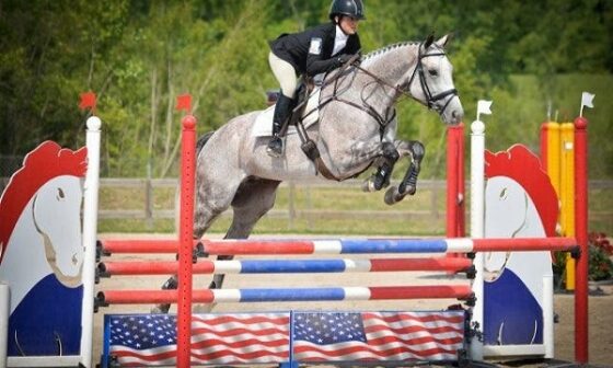 Conor Swail Irish Showjumper