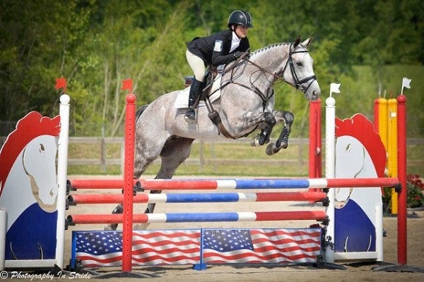 Conor Swail Irish Showjumper